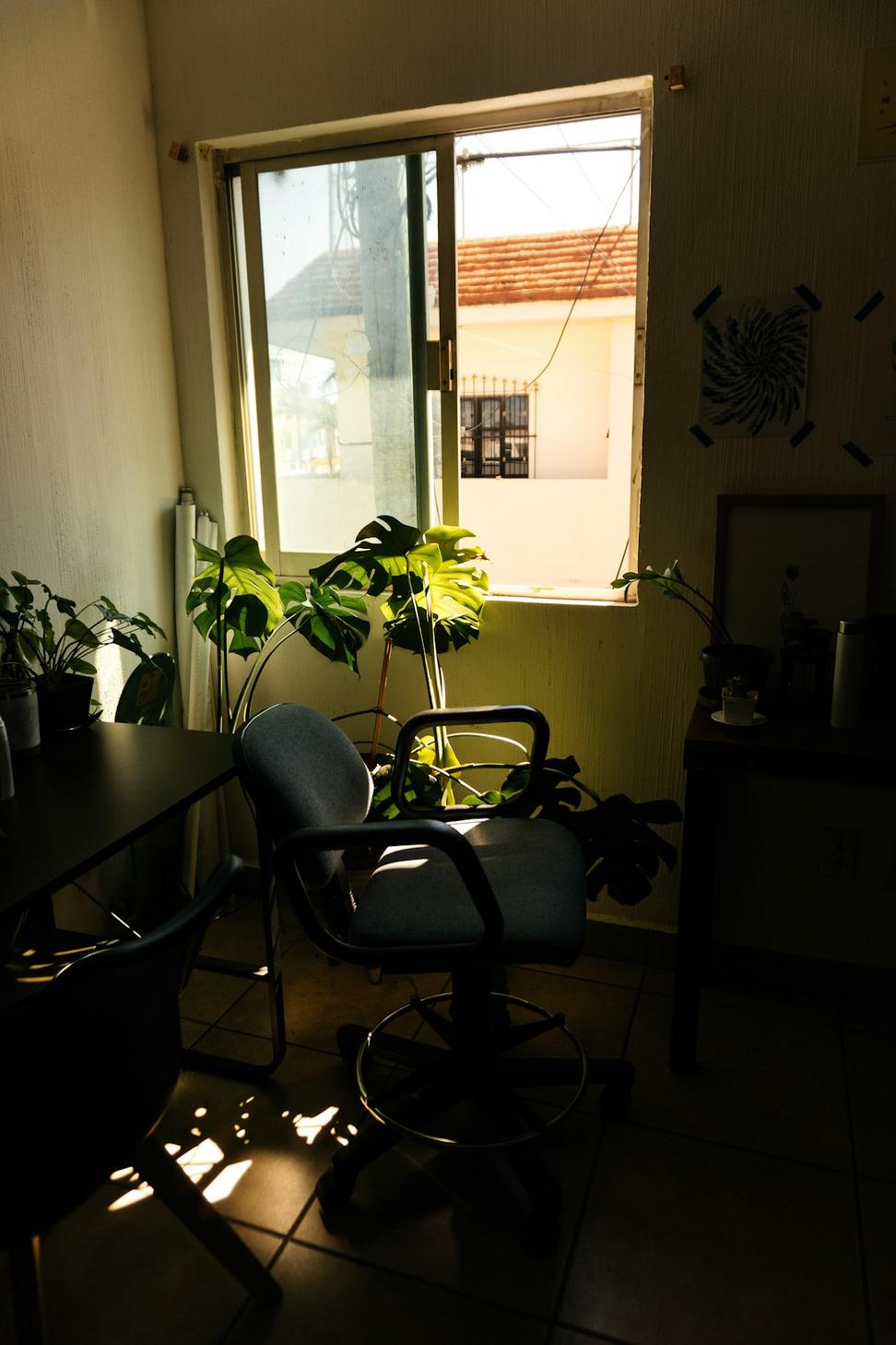 Executive Business Suite